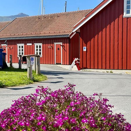 Anker Brygge Hotel Svolvær Eksteriør billede